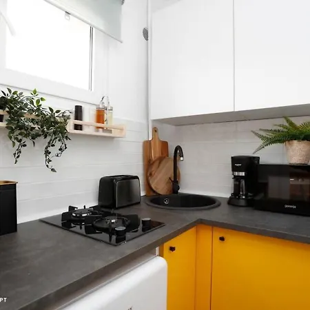 Barcianu Near Old Town & Unirii Square *