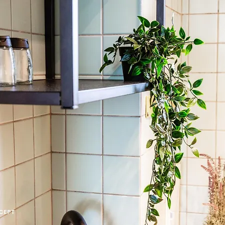 Barcianu Near Old Town & Unirii Square * Bukurešť