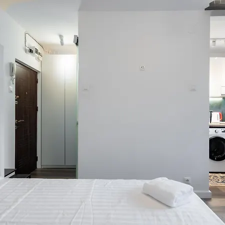 Apartment Barcianu Near Old Town & Unirii Square *