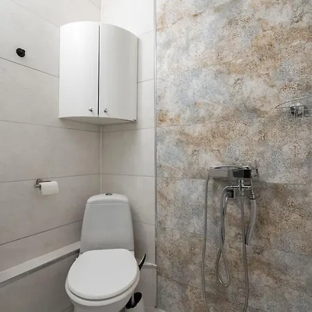 Barcianu Near Old Town & Unirii Square Daire *