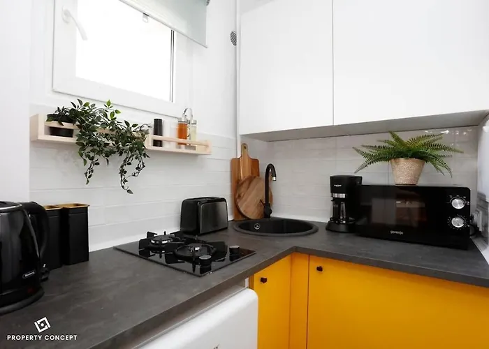 Barcianu Near Old Town & Unirii Square *